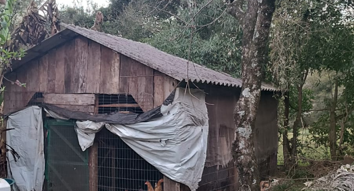 Propriedade no interior de Santo Cristo - Vila Laranjeira